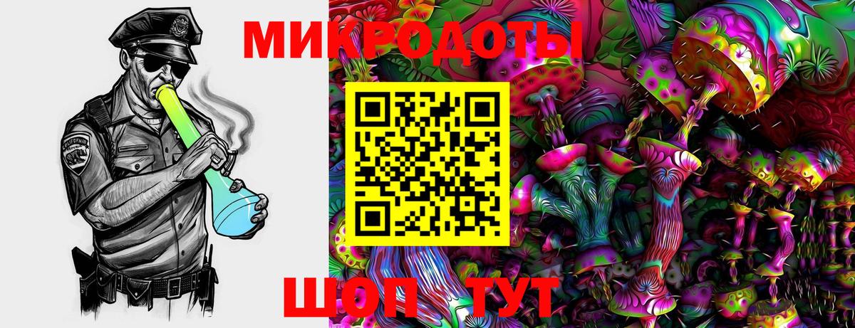 Галлюциногенные грибы Psilocybine cubensis  Вход с VPN  Балашов  Псилоцибиновые грибы GOLDEN TEACHER 